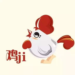 弥书涛老师2017十二生肖运程预测 生肖鸡