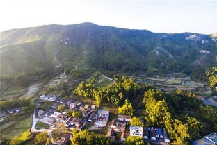 蒋大伟风水顾问 风水口诀,五分钟入门