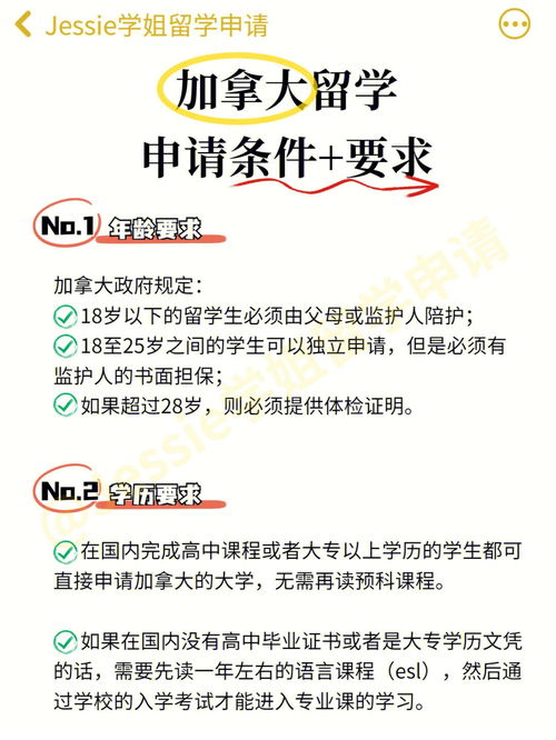 留学出国申请(出国留学流程怎么办理)