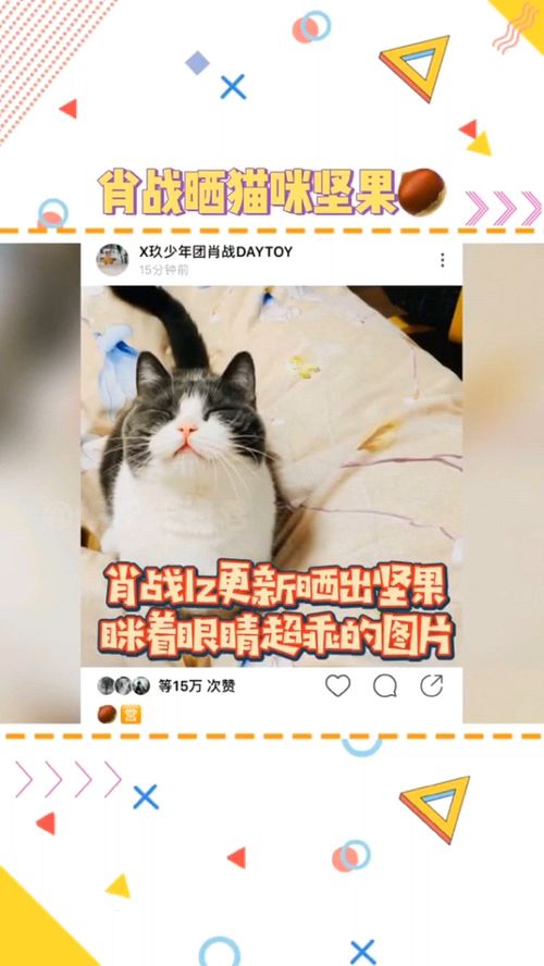 肖战,带着坚果小姑娘来营业啦 