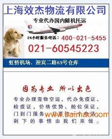 上海宠物托运 上海到国内各地航空托运宠物服务,上海宠物托运 上海到国内各地航空托运宠物服务生产厂家,上海宠物托运 上海到国内各地航空托运宠物服务价格 