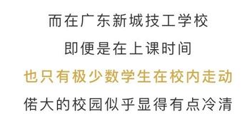 学生双十一被派实习搬快递,一天做足十几个小时 学校 全国都这样