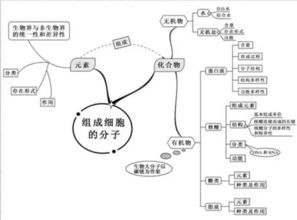 生物 20张图记完高中生物 思维导图助你理清思路 