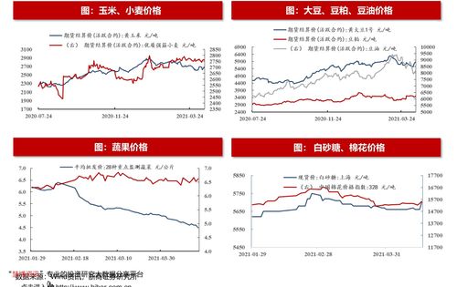 机器人四大部分是什么