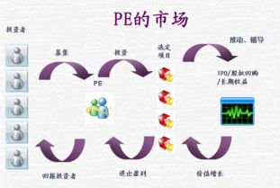 私募股权投资对投资对象有哪些要求