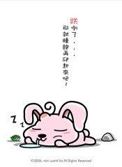 品味生活 luckycatvv的时尚图片