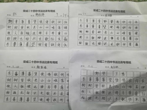 写好字名言;关于说普通话写规范汉字的名言，很多个字的作文？