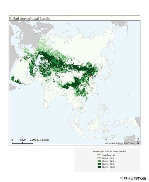 蒙古帝国详细讲解(蒙古帝国顺序表)