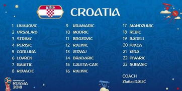 克罗地亚公布世界杯球衣号码 皇马统帅10号