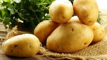 空气怎样储存小土豆 空气储存小土豆的方法