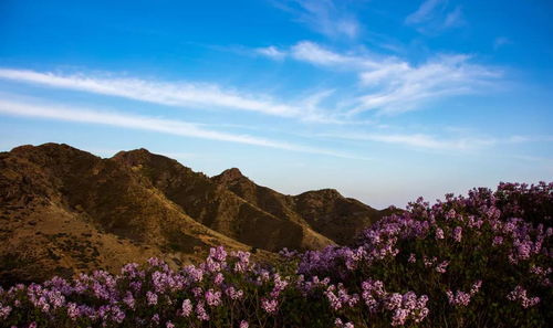 青龙山