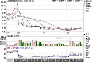 上海新梅这支股票好吗?