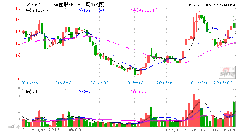 华鑫股份战略发展目标是什么