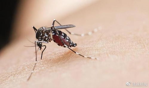 全国人大代表提议 全面消灭蚊子 ,国家卫健委答复