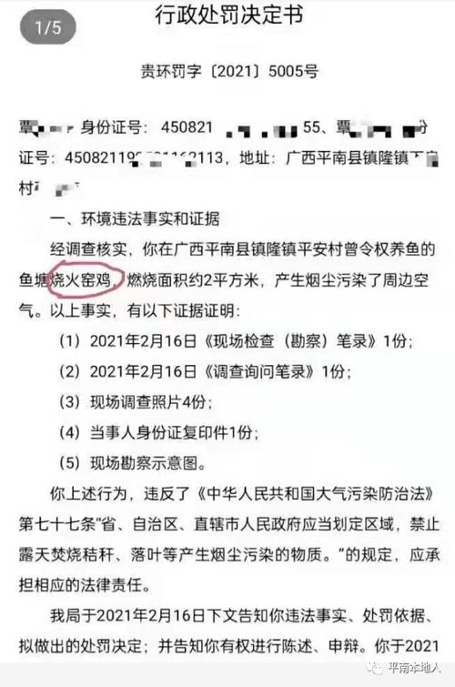 行政处罚的“一大吸小”等一些词组什么意思？如何理解？