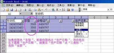 wps表筛选出现问题怎么解决 一对表格进行自动筛选时,就只能筛选一小部分,其他的都不可以进行筛选,求大师详解,重谢 