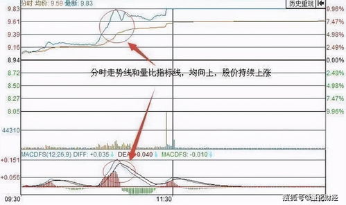 夏季野钓时间段很重要，你掌握了吗(夏季野钓什么时间段最好)