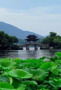 目的地 热得不要不要的夏天,最适合去哪儿旅行