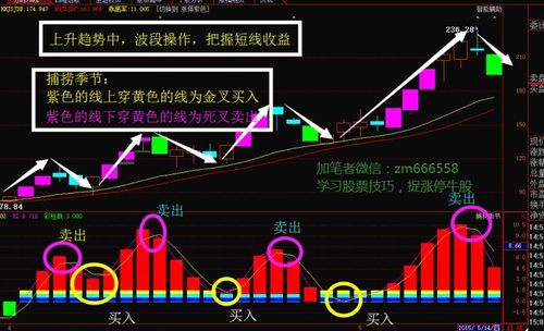 股市年前什么时间放假？