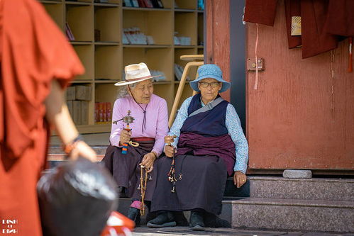 赴一场阿里之约丨西藏的 西藏 我终于来了