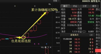 中国股票市场哪些属于独角兽