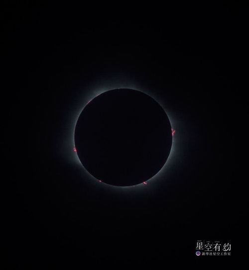 太阳摩羯金星水瓶爱你的表现