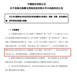 我公司从甲公司收购了A公司的100%的股权，A公司注册资本为100万元，我公司用110万元购入，会计分录怎么做