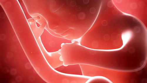 如何解决胎儿脐带绕颈怎么办