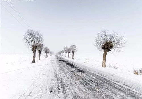 冰雪天气,开车上路需要注意的几大事项