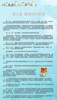 中国动物保护法