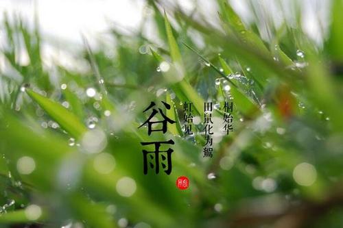 2020年谷雨是吉日吗,有什么宜忌和禁忌