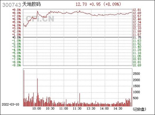 天地数码中签率查询300743中签率多少