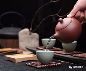 六堡茶为什么不建议煮茶(六堡茶 煮茶)