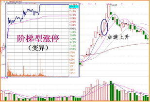 为什么投资者会在涨停以后期待更高的价格表现，因而继续持有甚至买入该股票