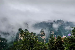 张家界旅游攻略,看看很值 提供纯玩旅游方式 