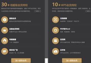 wps会员怎么使用模板(wps会员怎么使用模板下载)(wps会员的模板在其他电脑上需要登录么)