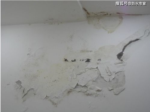 楼上卫生间漏水且不肯修，楼下该用什么材料来止漏