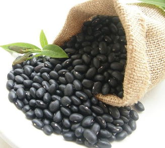 黑豆的功效与作用禁忌 “补药一堆不如黑豆一把”，为什么说黑豆是真正的“养生高手”？ 