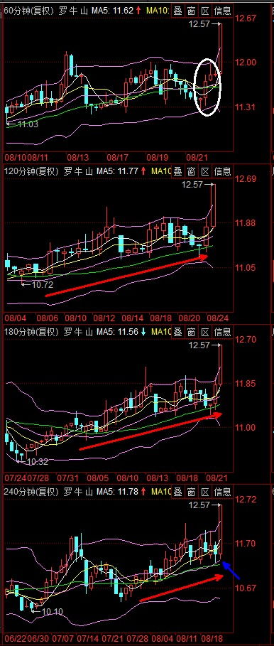 000735罗牛山今天为什么涨停？