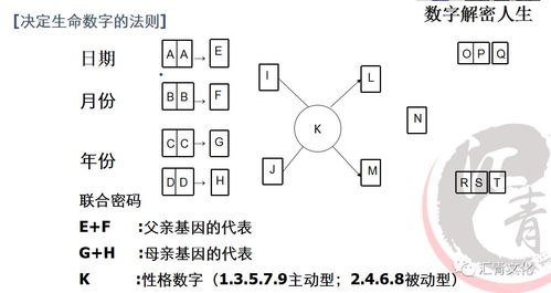 数字解密人生 数字五行与健康息息相关