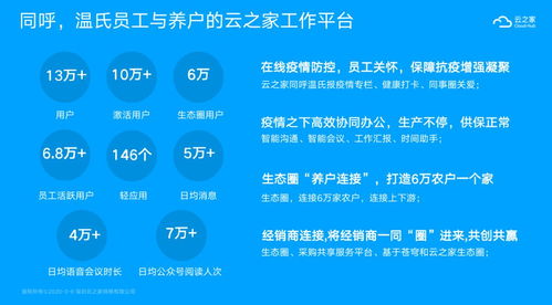 中国互联网it企业龙头企业有没有国盾互联