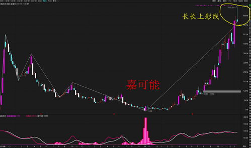 假如我持有一家上市公司的股票100股，分红说是10股转增10股，那我分红后有多少股，这些股哪些可以