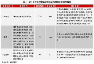 公司债券的债券担保