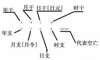 八字算命一点都不难,零基础看懂 搜狐星座 搜狐网 