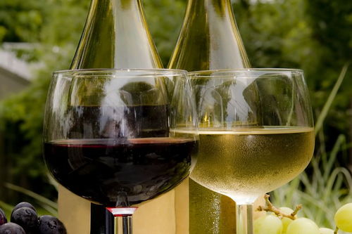 红葡萄酒的制作方法 葡萄酒的酿制方法