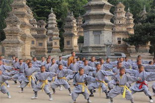 嵩山少林寺武术学校有暑假班 怎么收费呢