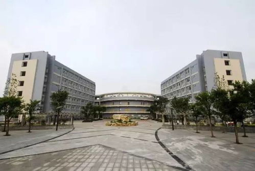 必看丨重庆小 初 高中排名前十的学校 第一名竟然是... 
