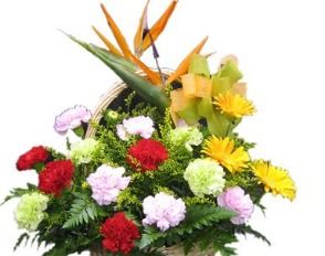 看病人送什么花合适看望病人买什么鲜花好,给病人送花送什么花好？