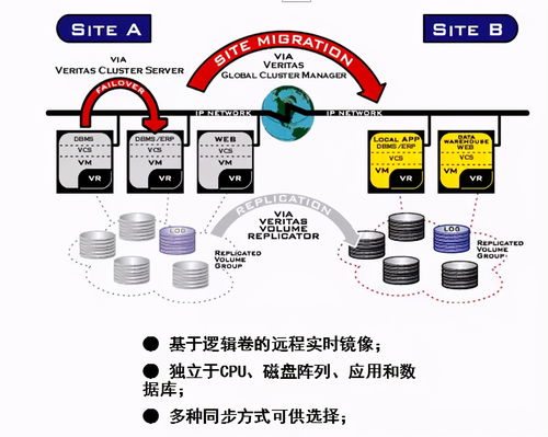 采集器查重技术解析：原理、应用与发展趋势