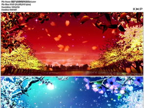 四款卡通春夏秋冬季节风景背景图片 信息评鉴中心 酷米资讯 Kumizx Com